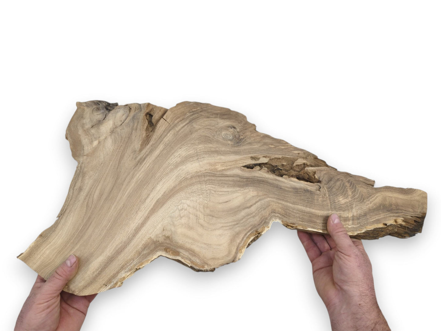 A pair of hands presents a wide timber plank with sweeping grain and a hollow.
