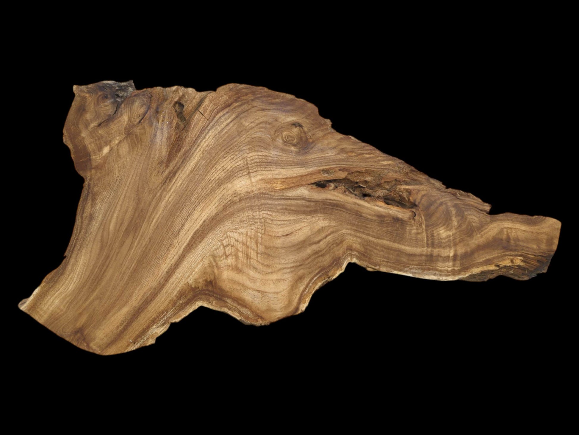 A raw timber slab with a jagged profile features flowing grain and a knotty eye.