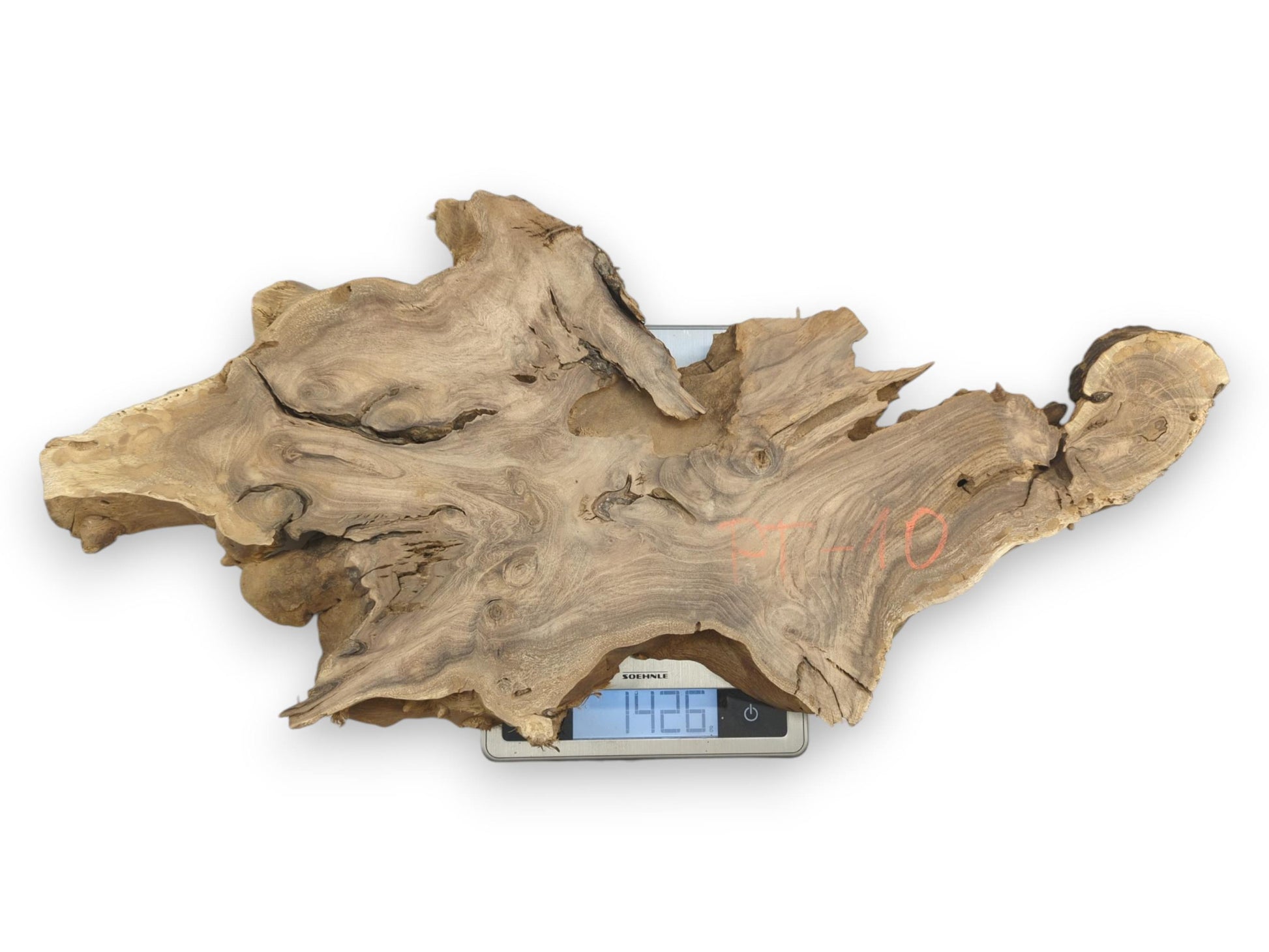 A burled timber slab with orange markings and swirling grain rests on a digital scale.