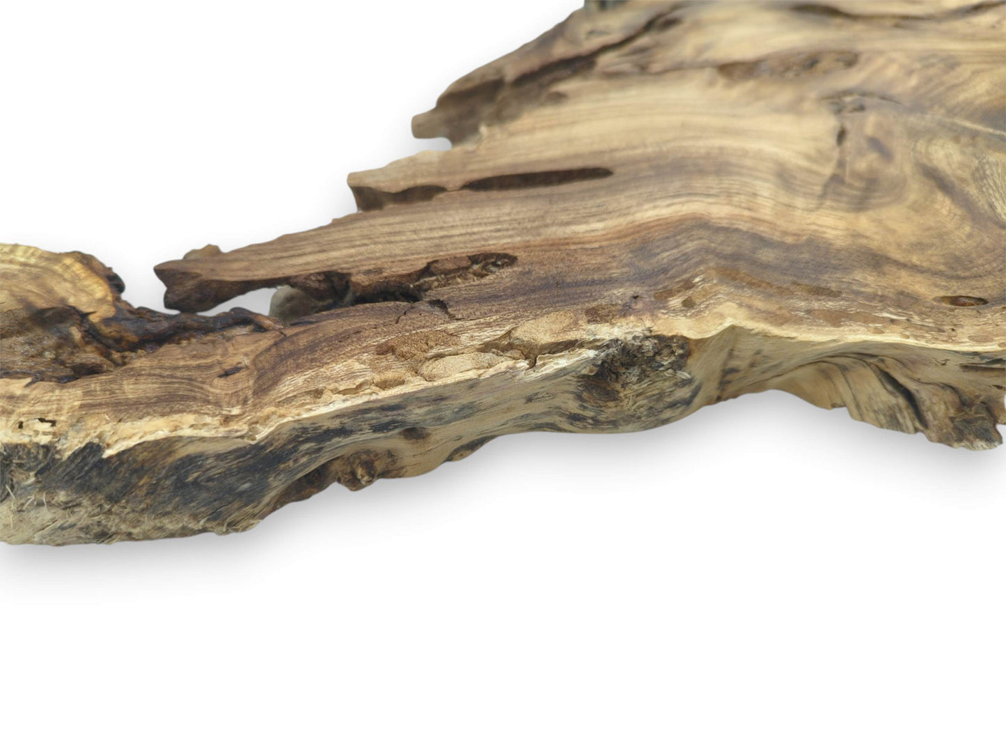 A low-angle view emphasizes the rugged, cavernous live edge against the timber's linear grain.