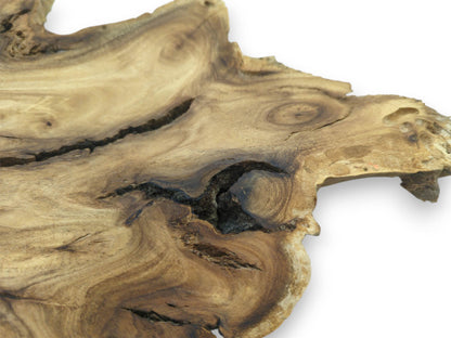 A dark, deep cavity punctuates the contoured grain of a raw, unfinished timber section.