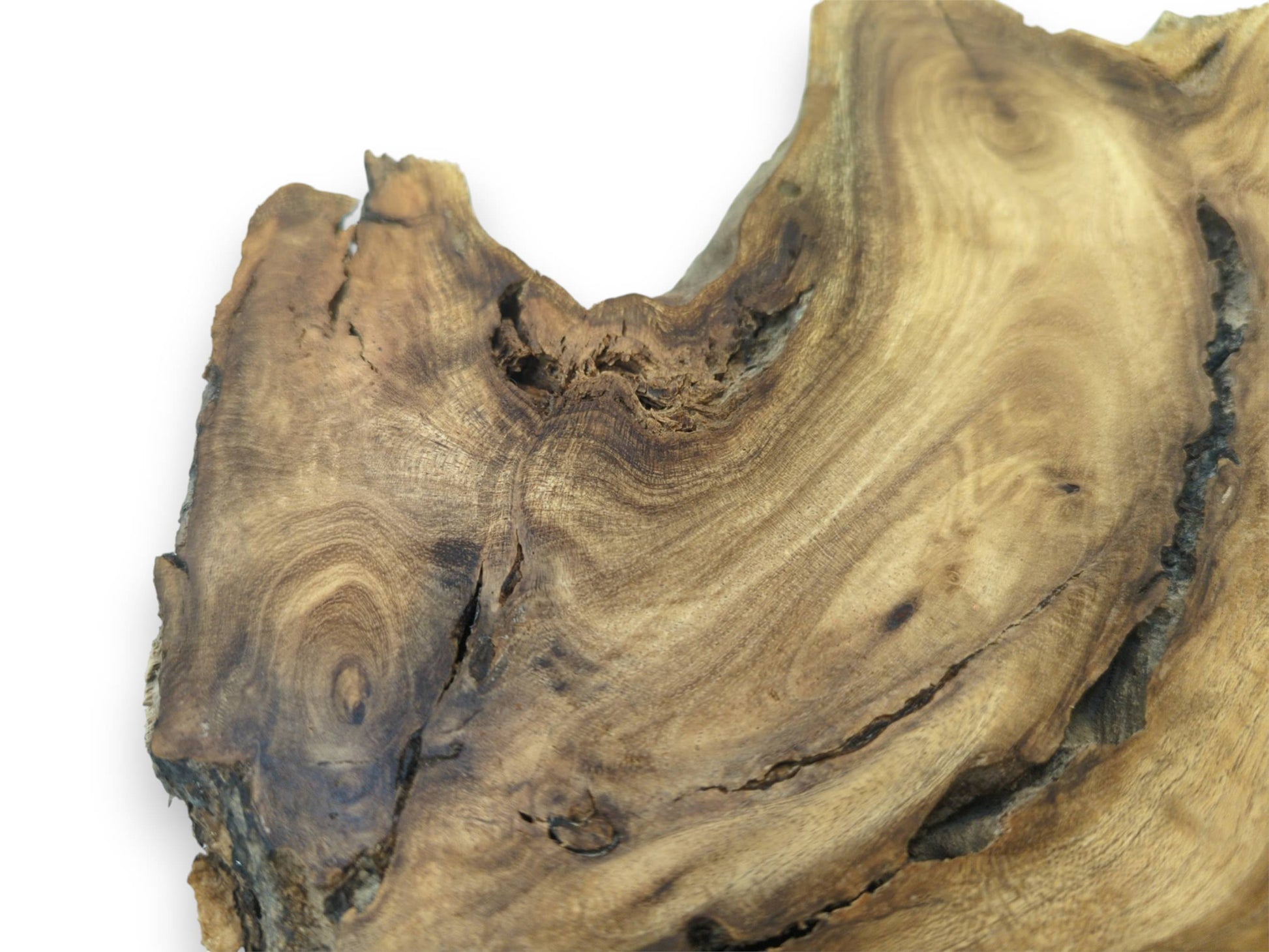 A raw root cross-section shows swirling bicolored grain, a dark knot, and deep fissures.
