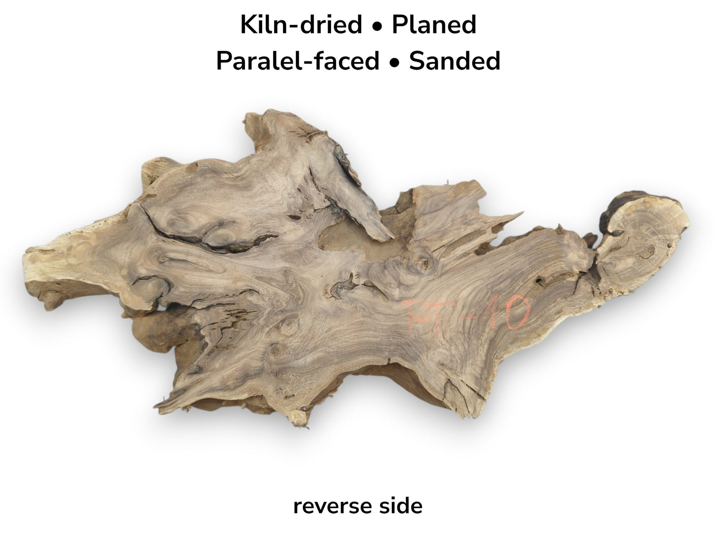 The reverse side of a gnarled timber slab features swirling grain and a jagged, organic outline.
