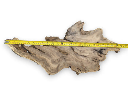 A measuring tape spans a raw timber slab, showing its wavy grain and organic shape.