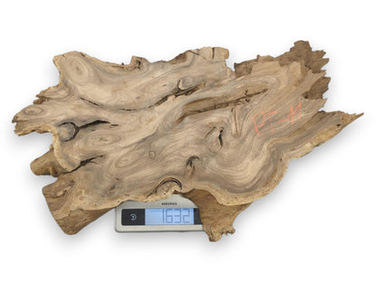 An irregular timber slab with undulating grain sits on a digital scale reading 1632.