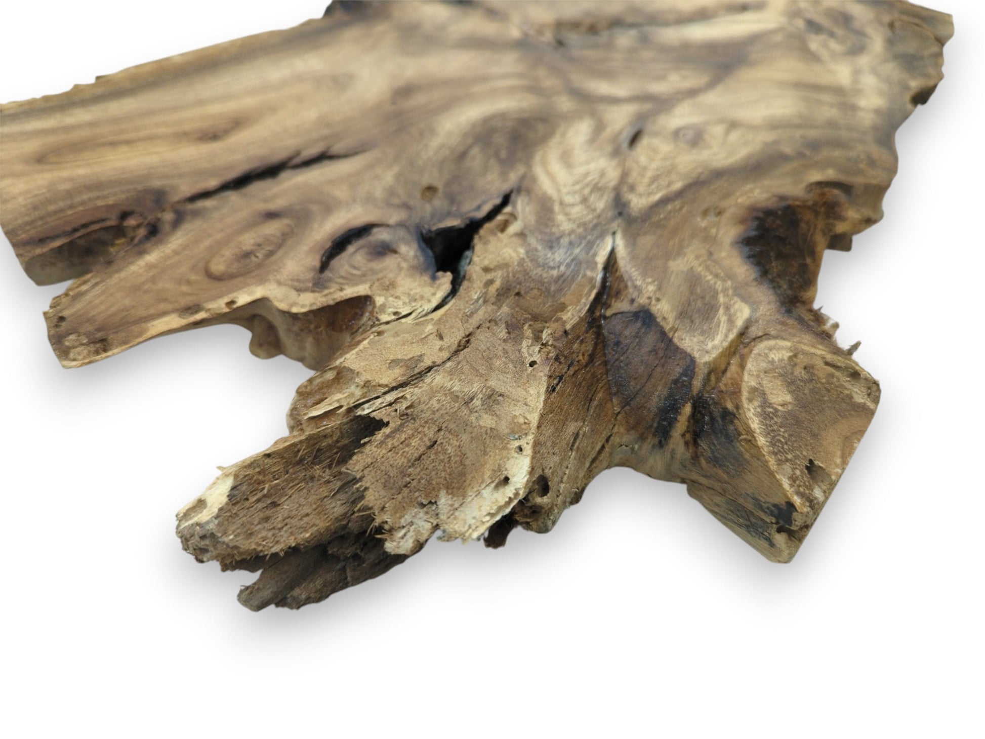 An angled close-up contrasts the smooth, figured lumber with its coarse, splintered natural perimeter.