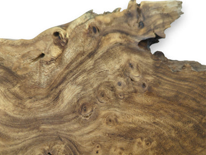 An overhead view shows countless circular burls creating a rippling texture on the wood.