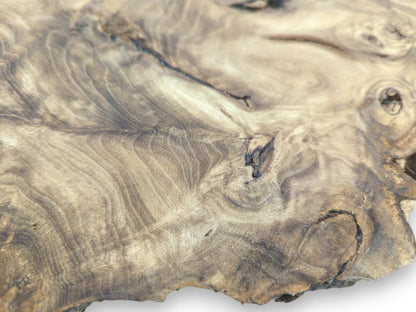 A close perspective captures the undulating grain and dark, eye-like knots of the timber.