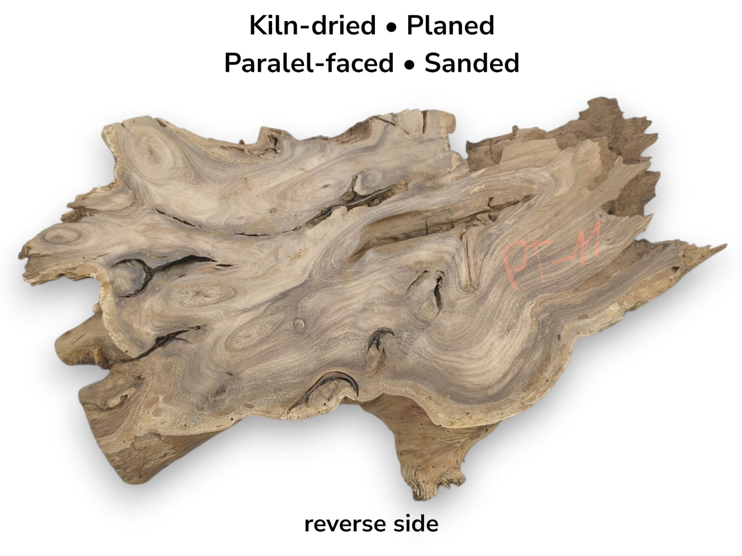 A planed root cross-cut reveals flowing grain patterns, dark knots, and a rugged perimeter.