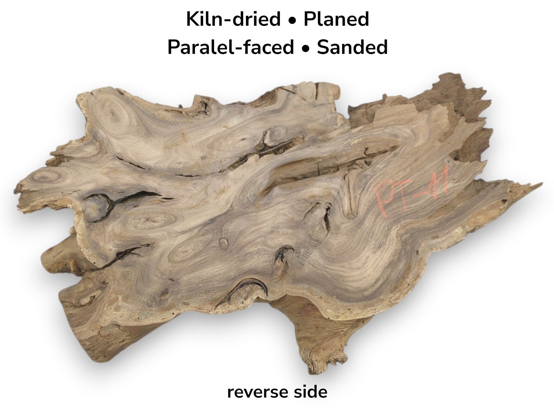 A planed root cross-cut reveals flowing grain patterns, dark knots, and a rugged perimeter.