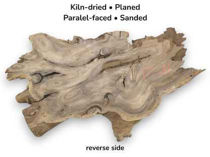 A planed root cross-cut reveals flowing grain patterns, dark knots, and a rugged perimeter.