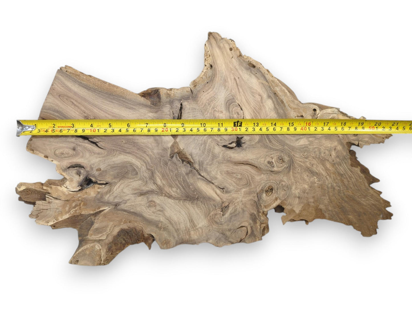 A yellow tape measure stretches across a gnarled, raw-edged timber slab with swirling grain.