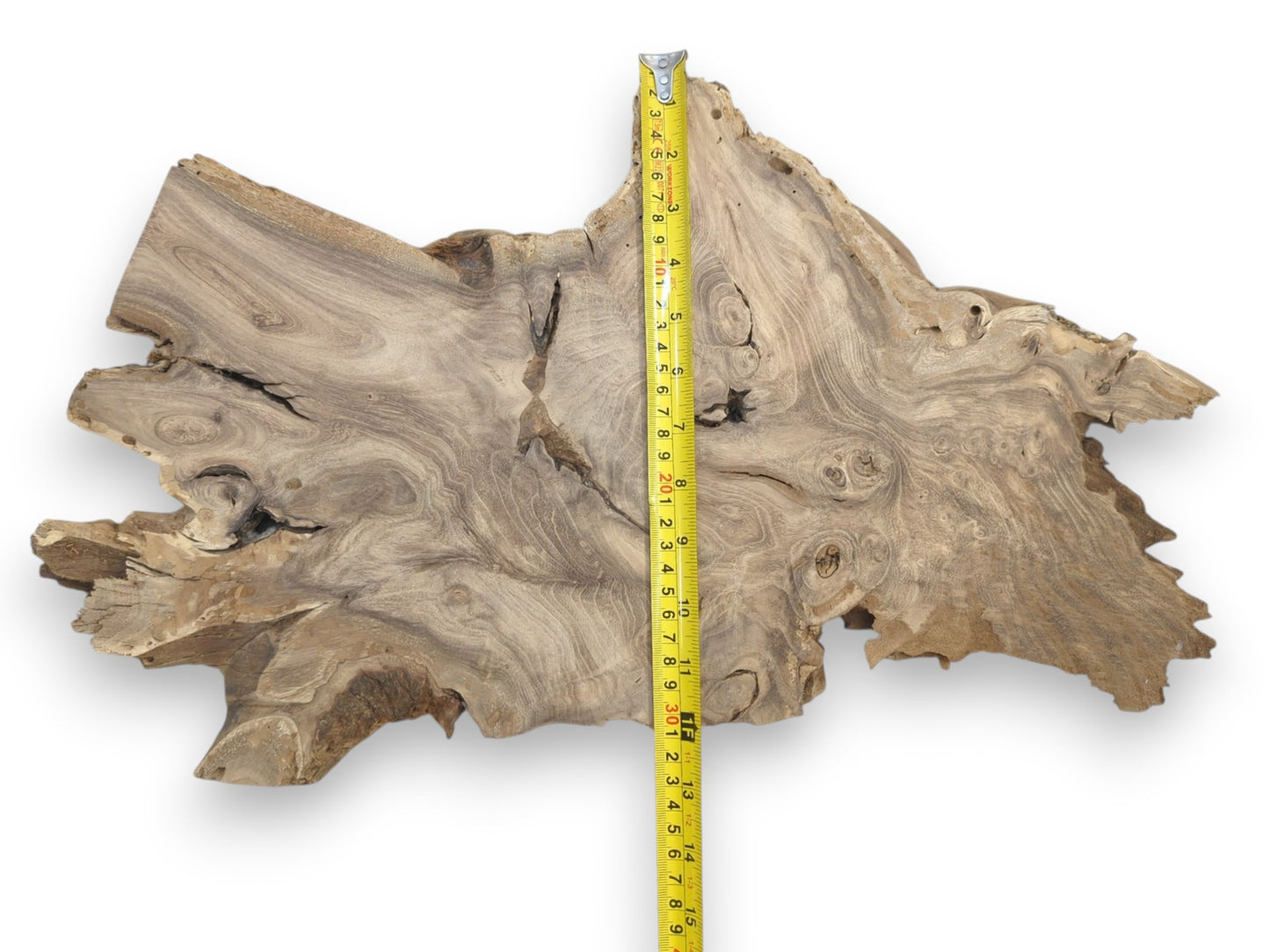 From above, a ruler measures a rustic lumber piece with chaotic, wavy figuring.