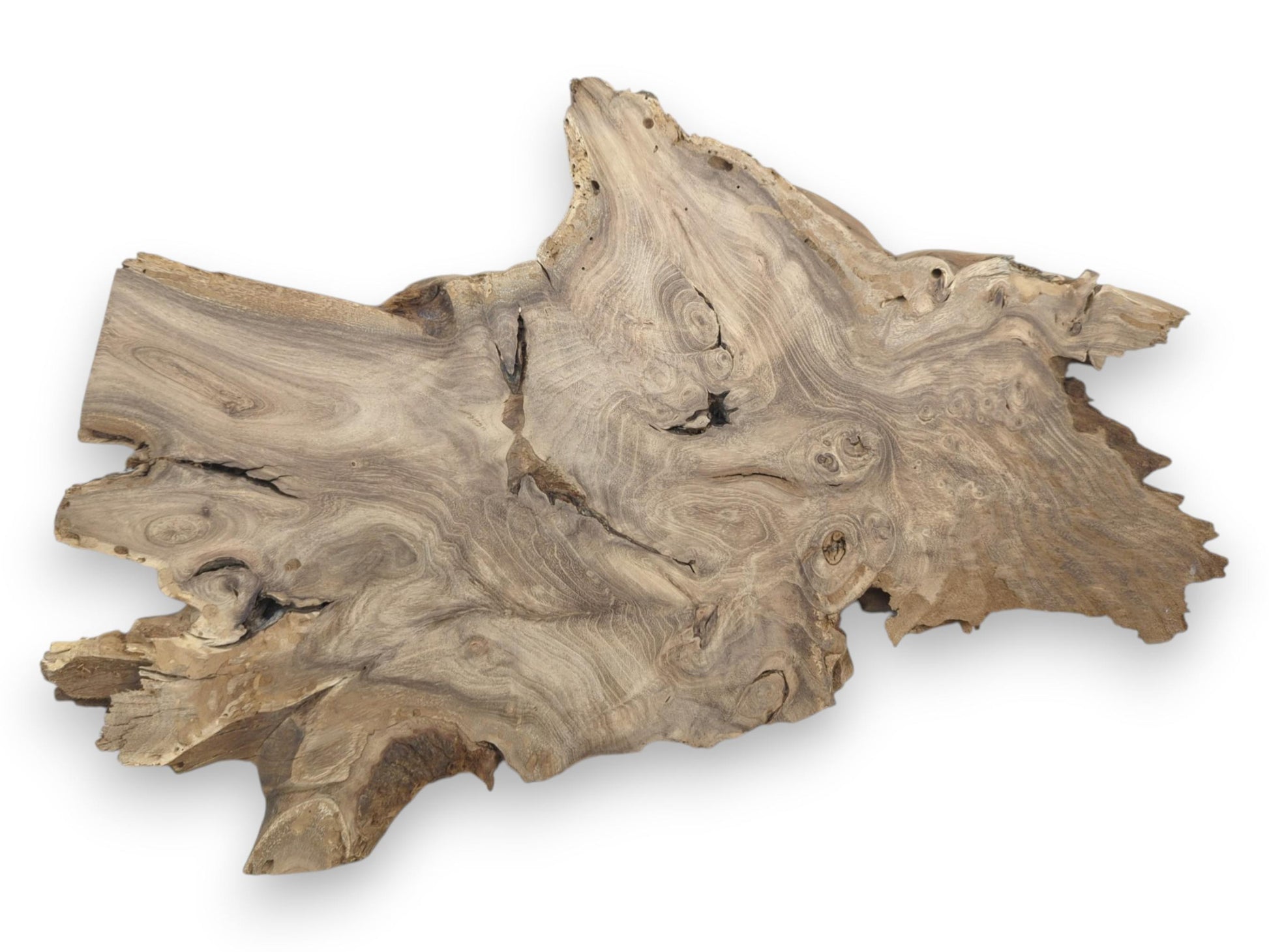An overhead shot captures the turbulent grain and clustered knots of a jagged timber slab.
