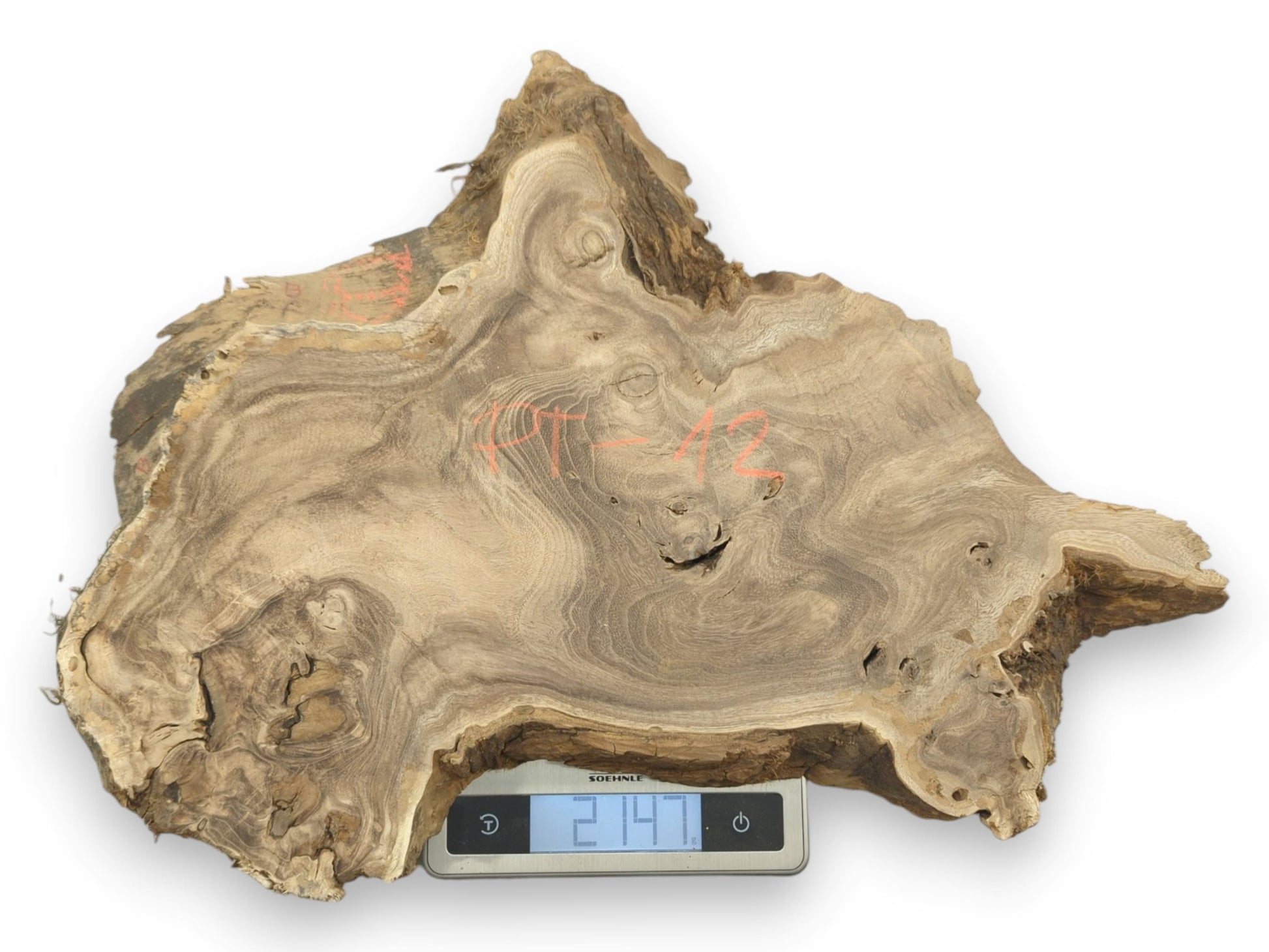 An irregular wood cross-section with red markings sits on a digital scale reading 2147.