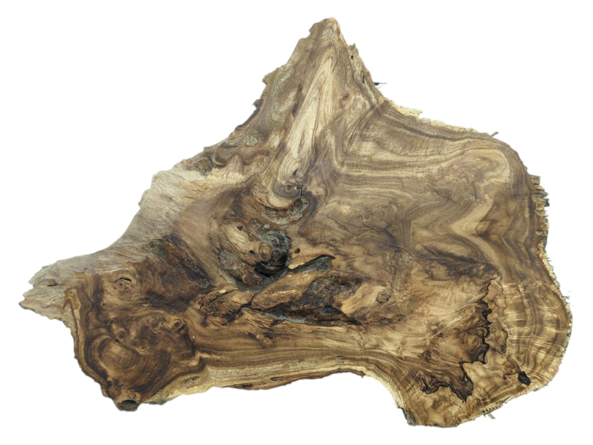 A raw-edged wood piece shows contoured figuring, dark voids, and a sharp, triangular peak.