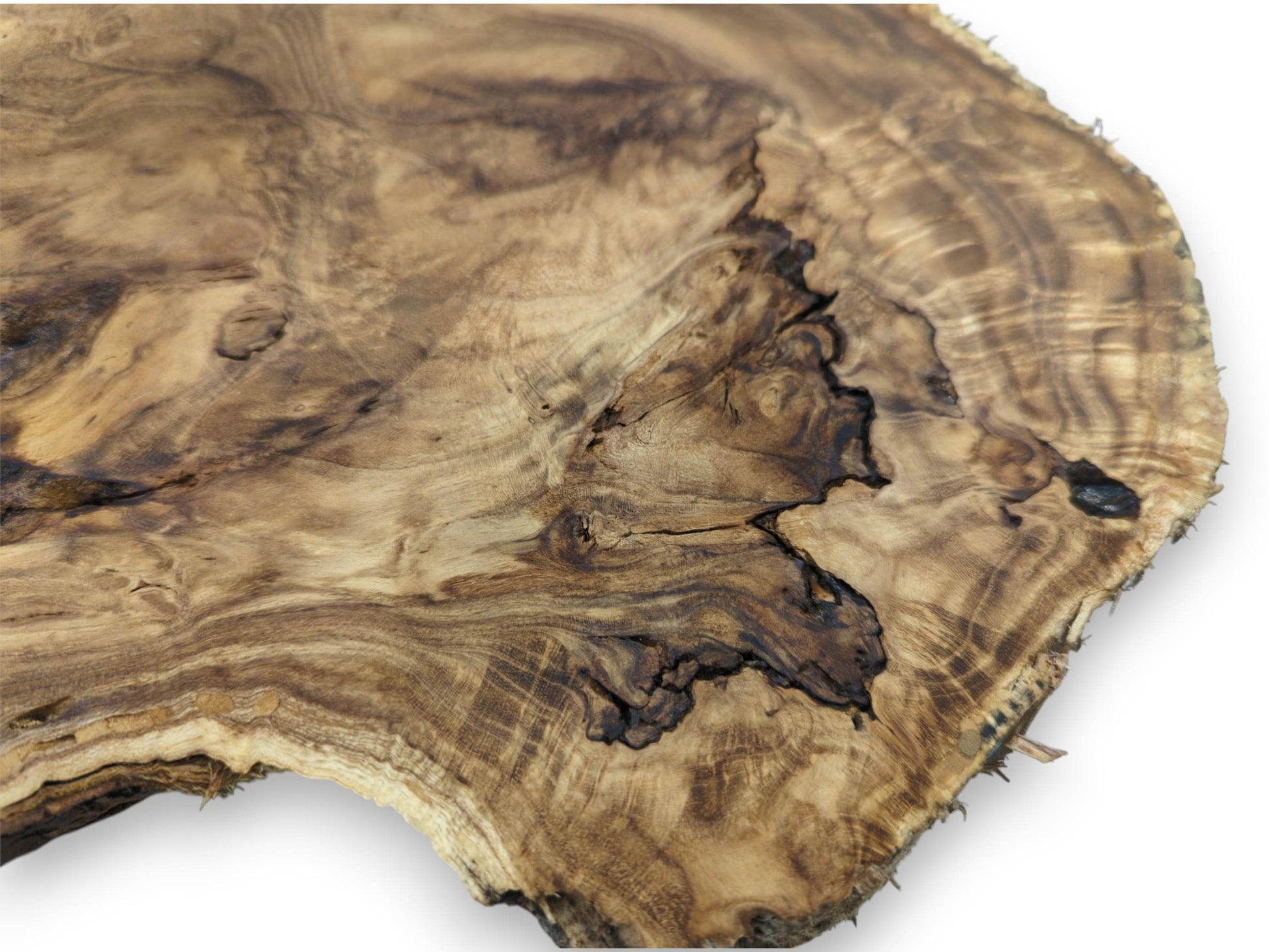A timber slice displays a dark, fractured void cutting through its warm, undulating grain.
