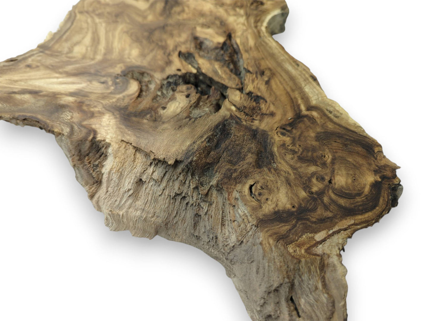 A close view of a root burl shows dark, eddying grain and a coarse, splintery texture.