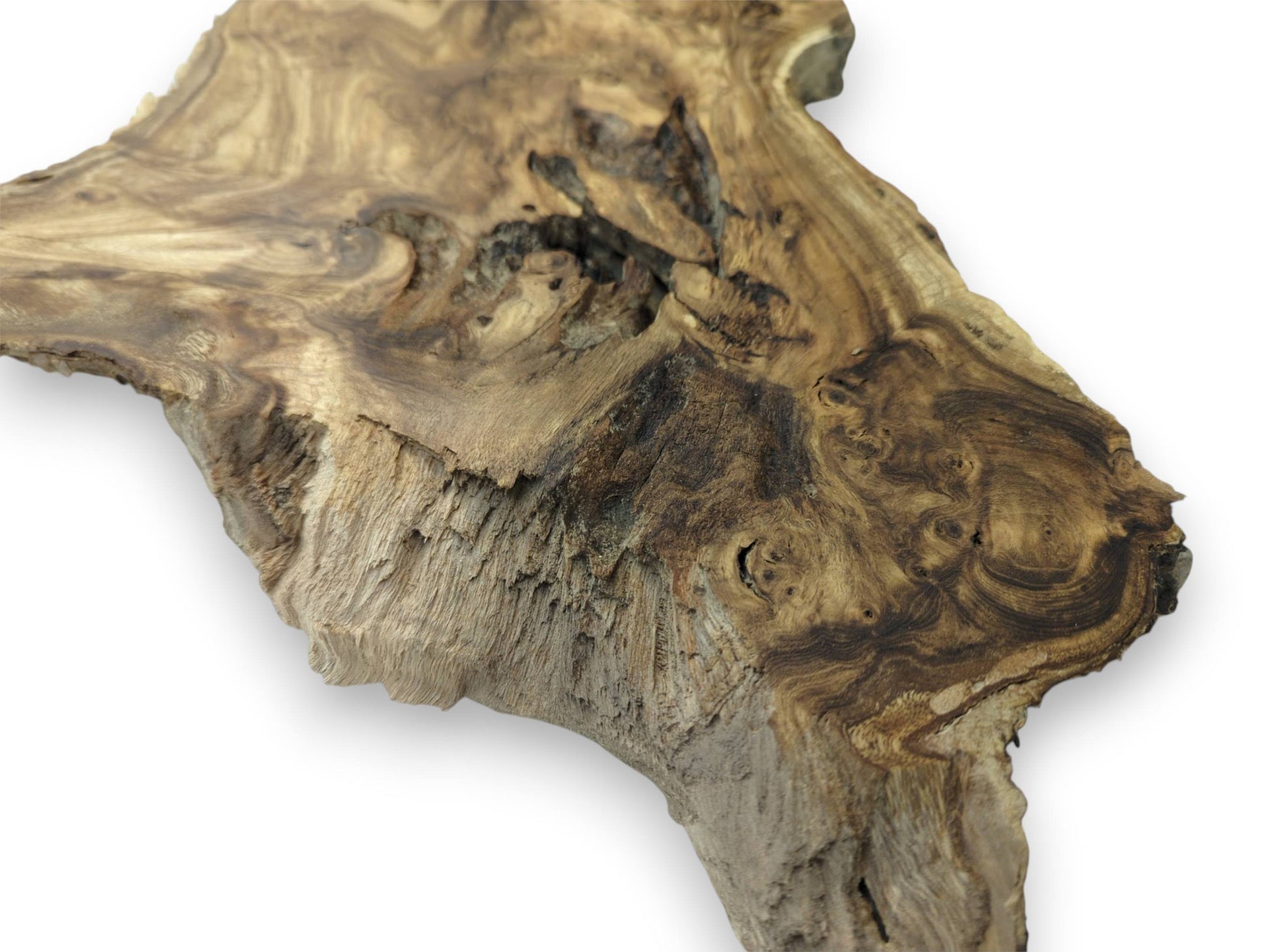 A close view of a root burl shows dark, eddying grain and a coarse, splintery texture.