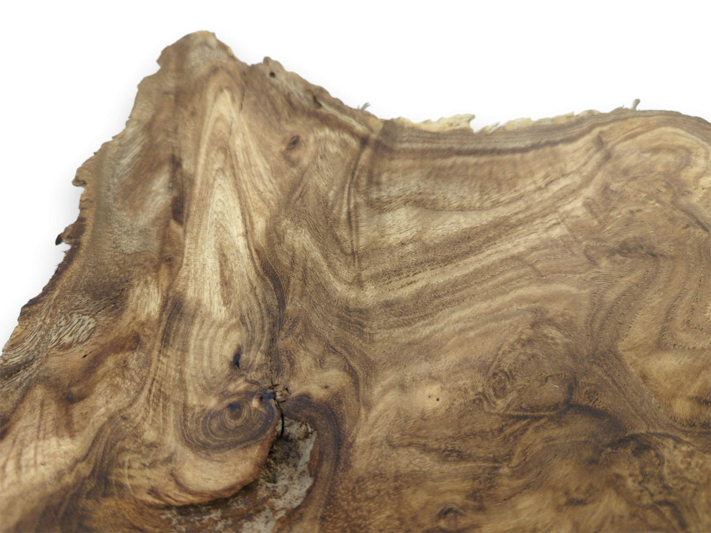 A wood cross-section shows flowing, contoured grain patterns and a rough, irregular live edge.