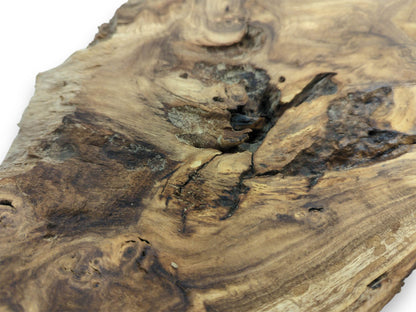 A rugged, dark cavity with deep cracks interrupts the wood's circular grain pattern.