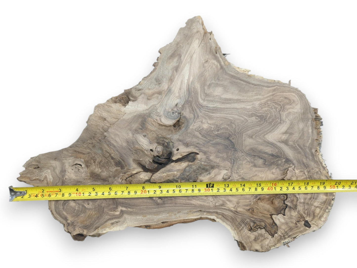 A measuring tape spans a wide, grey wood slab showing swirling grain and a pointed top.