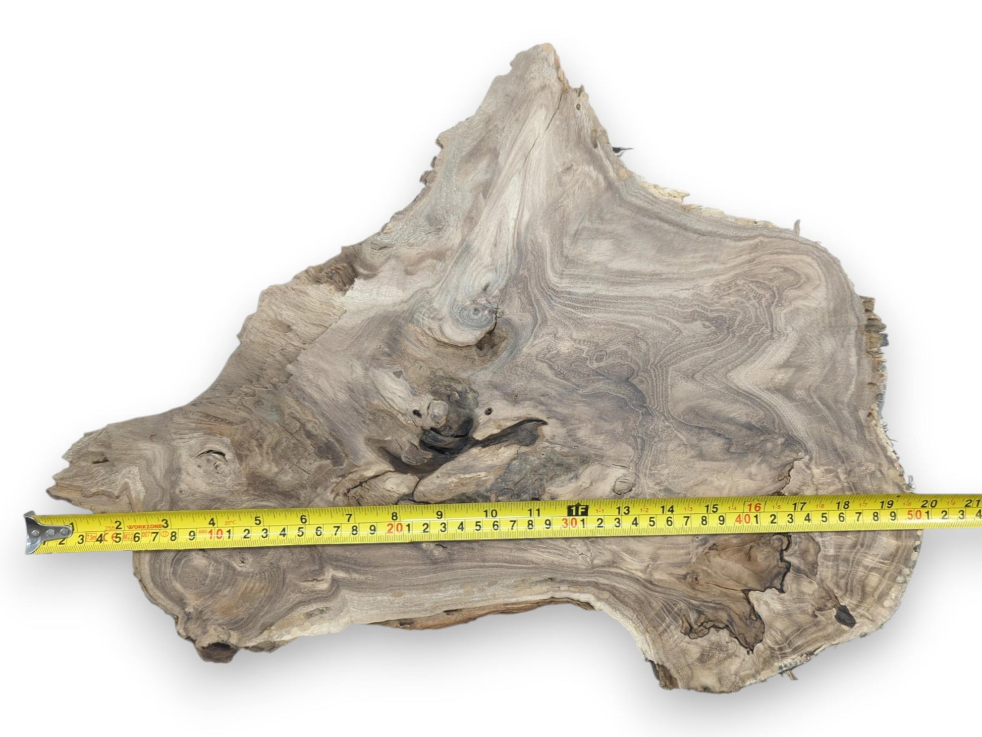 A measuring tape spans a wide, grey wood slab showing swirling grain and a pointed top.