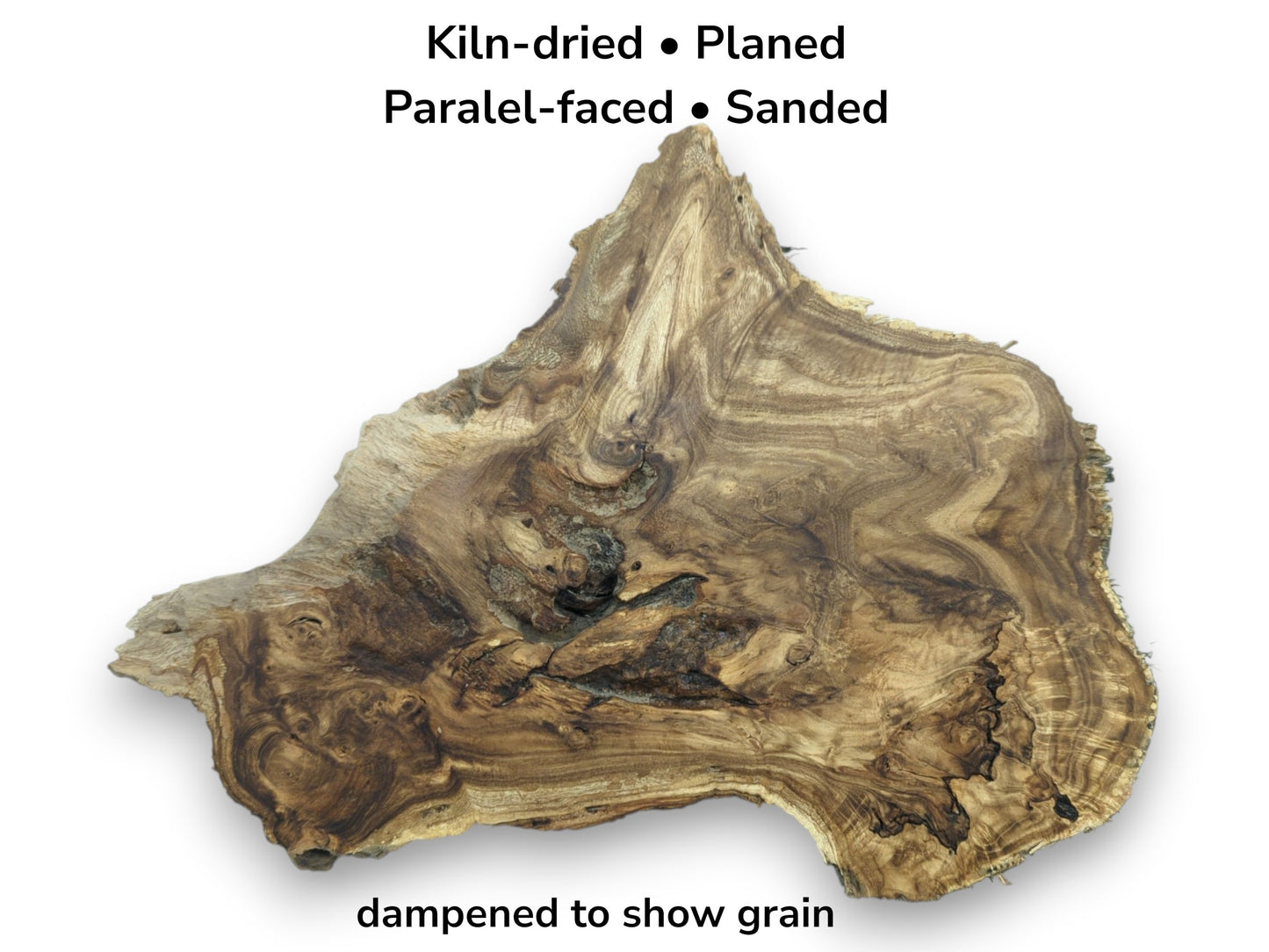 A gnarled rhizome cross-cut reveals complex, swirling grain patterns around a dark central void.