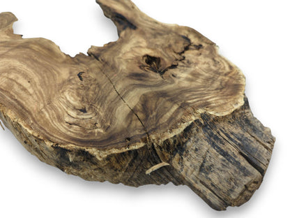 A timber cross-section with swirling grain, a central fissure, and a thick, rugged bark edge.
