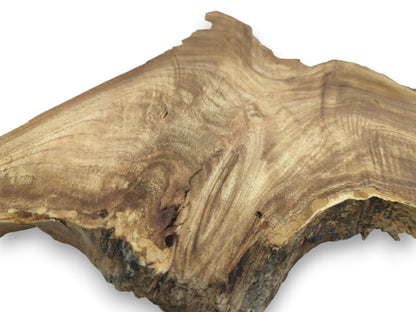 A wide timber plank with a jagged peak features undulating grain and a thick, raw edge.