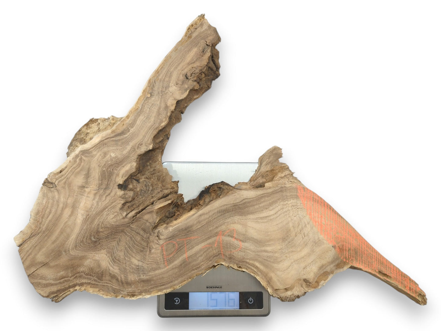 A jagged wood slab with contoured grain and orange markings rests on a digital scale.