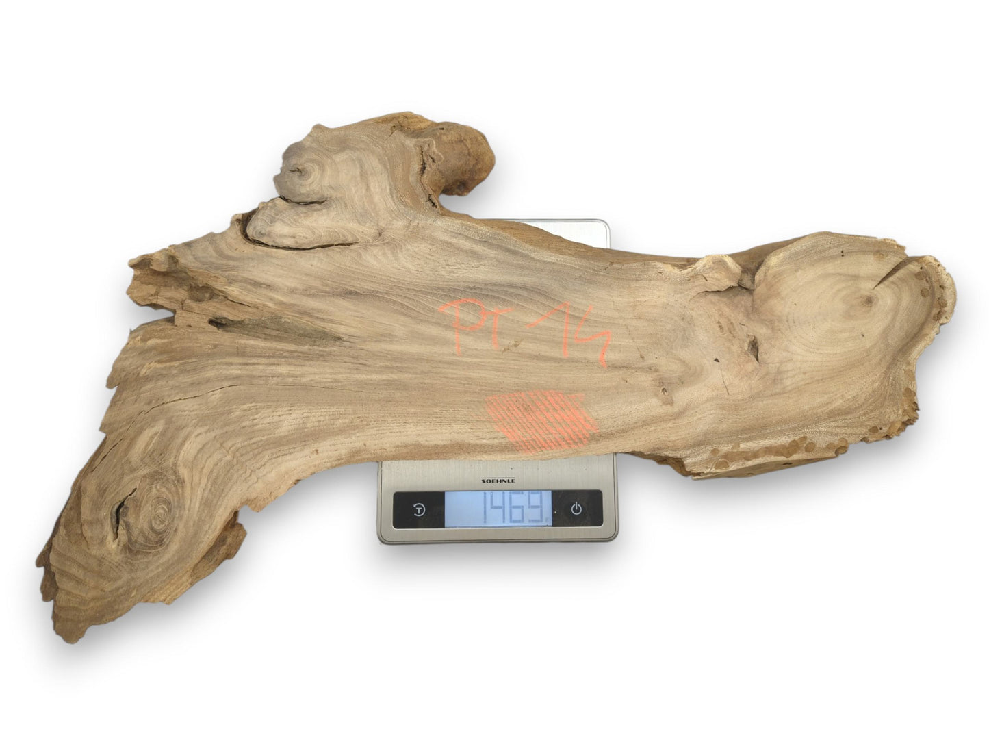 A gnarled, live-edge timber slab with orange markings is weighed on a digital scale.