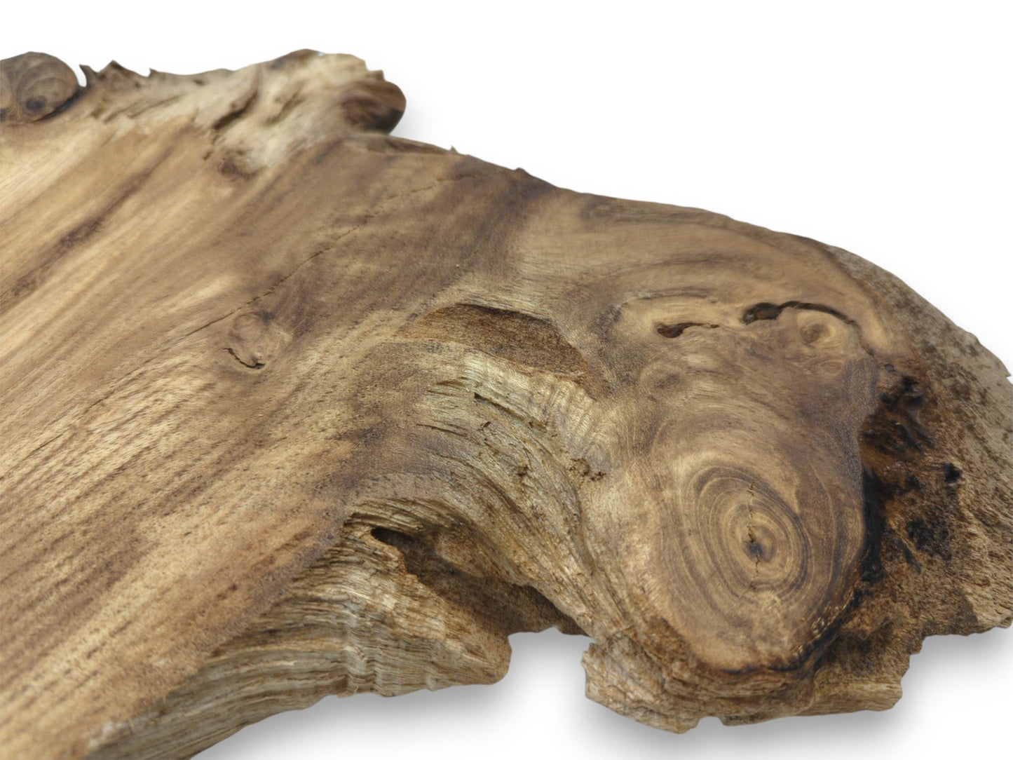 A close perspective on a woodcut reveals a large whorl and a rough, stratified edge.