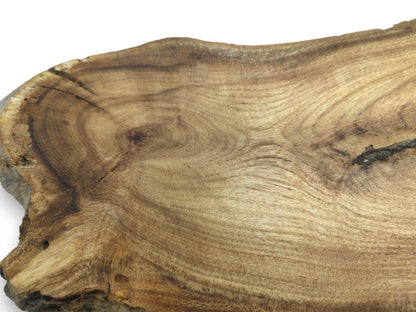 A rustic timber cross-section displays a dark central knot and sweeping, concentric growth rings.
