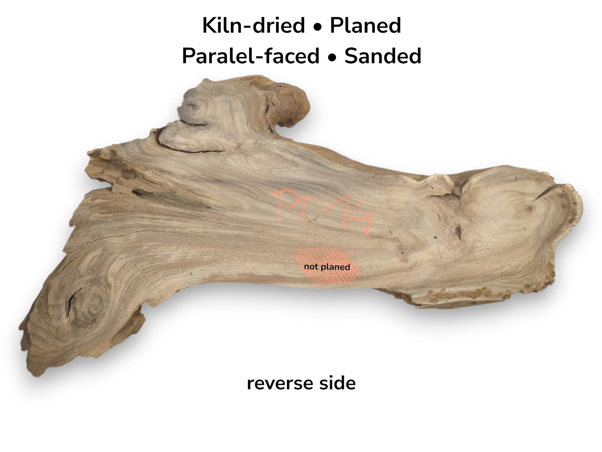 The reverse face of a gnarled timber slab features orange markings and a prominent knot.