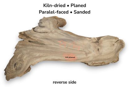 The reverse face of a gnarled timber slab features orange markings and a prominent knot.