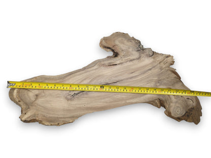 A yellow tape measure lays across a long, natural-form timber slab with wavy grain.