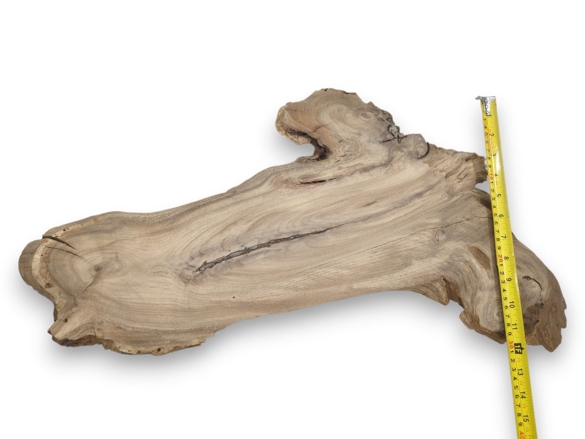 A yellow tape measure gauges the length of a freeform timber piece with a central crack.