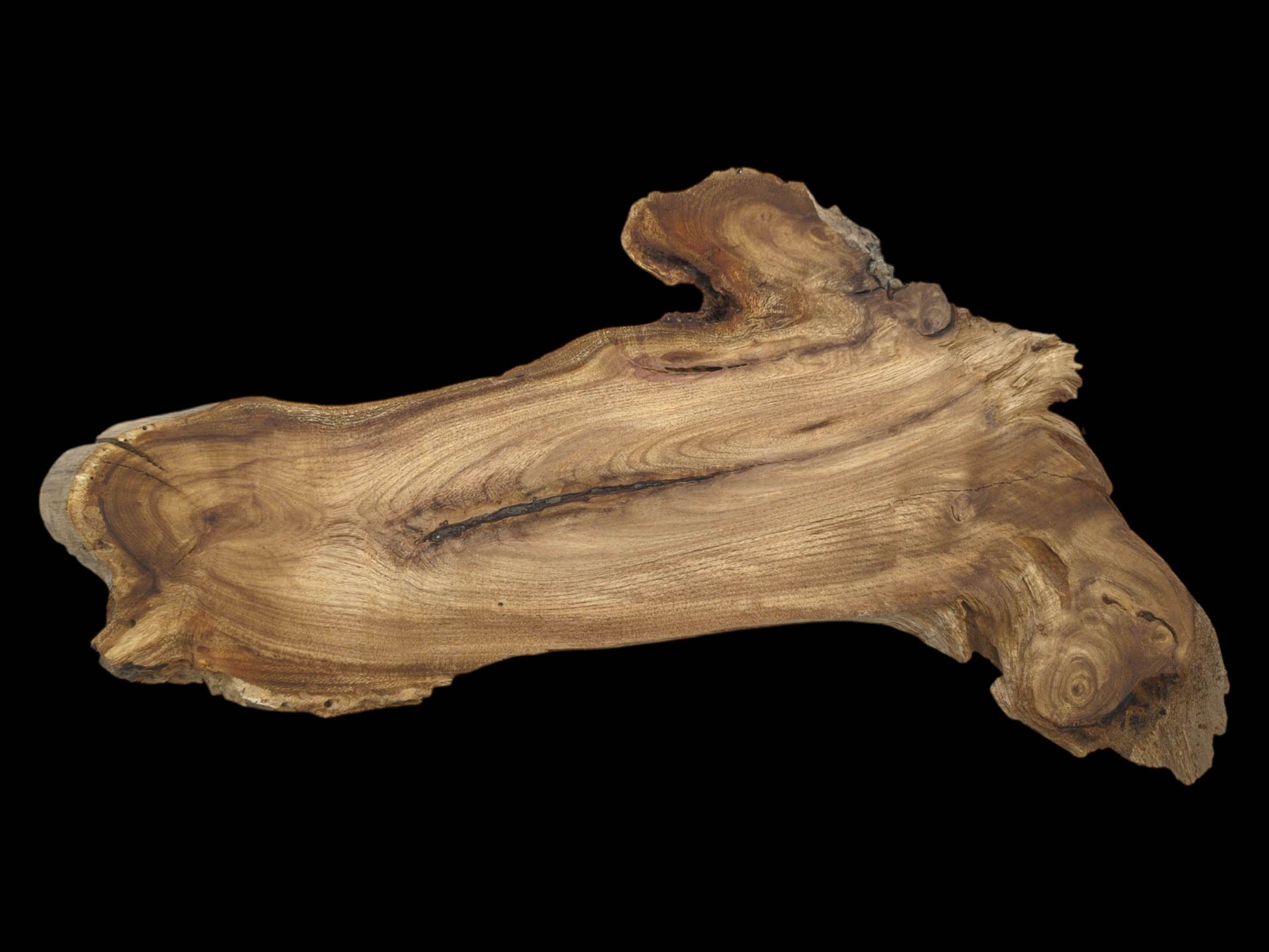 A polished, natural-form timber slab features a dark linear inclusion and a swirling burl.