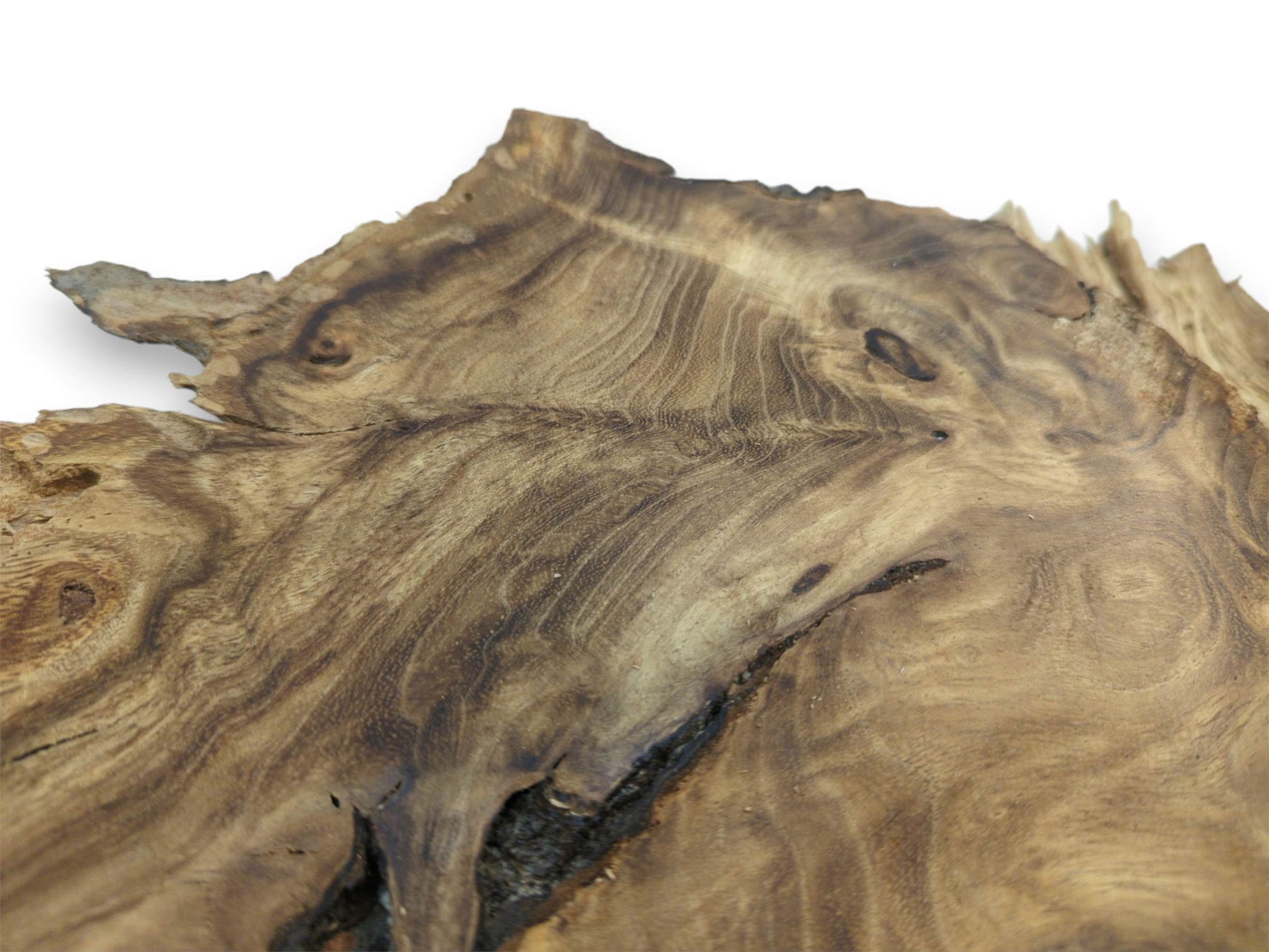 A close perspective on a wood slab shows contoured grain flowing around a dark chasm.