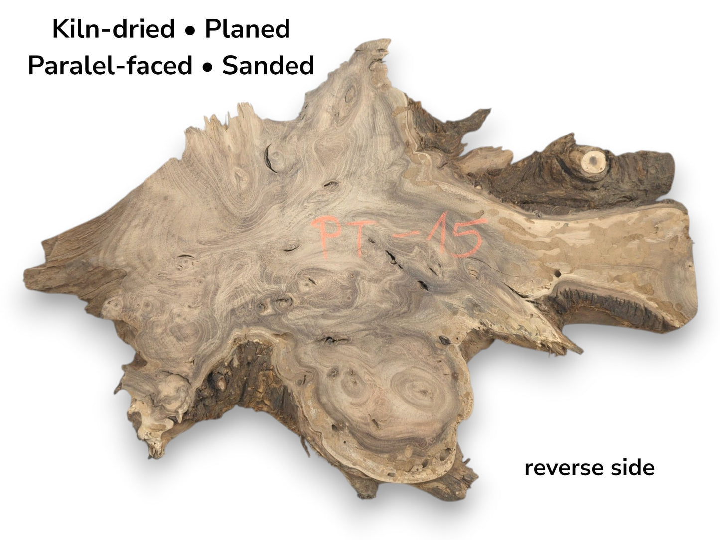 A planed root section with a jagged perimeter reveals hypnotic, swirling grain and many knots.