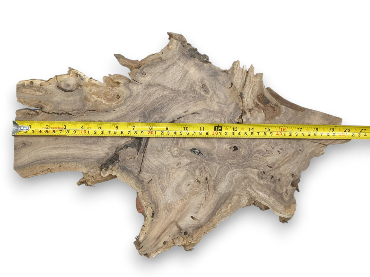 An overhead shot shows a tape measure across a rustic root slab's undulating grain.