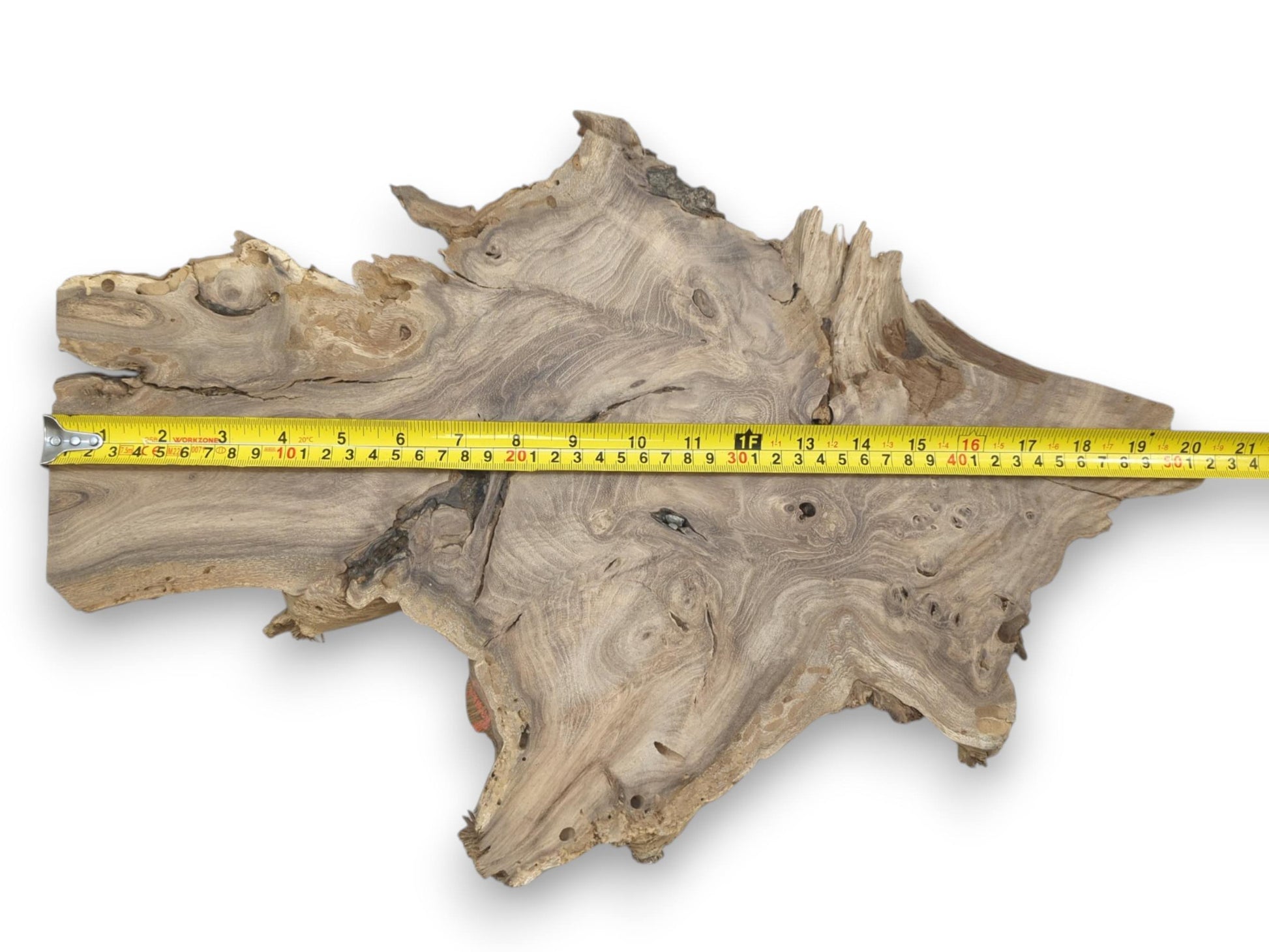 An overhead shot shows a tape measure across a rustic root slab's undulating grain.