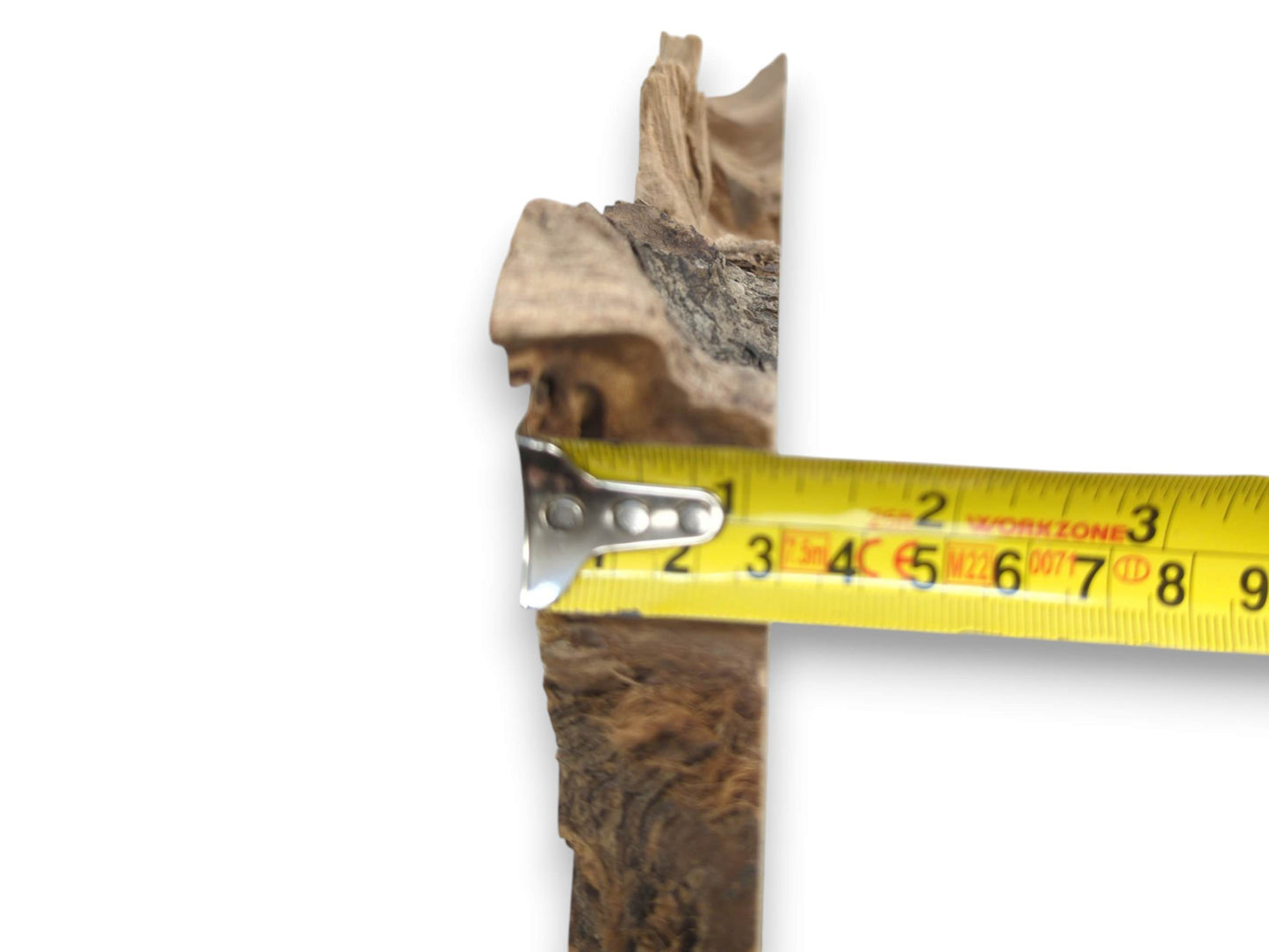 A yellow tape measure gauges the thickness of a vertical wood slab with coarse bark.