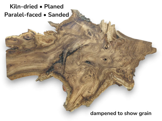 An overhead shot of a rhizome section reveals intricate figuring, dark fissures, and a raw perimeter.