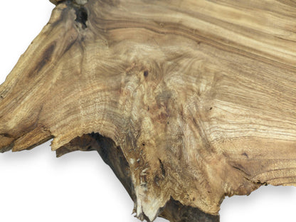 Wavy figuring and small knots detail the surface of a wood section with a jagged perimeter.