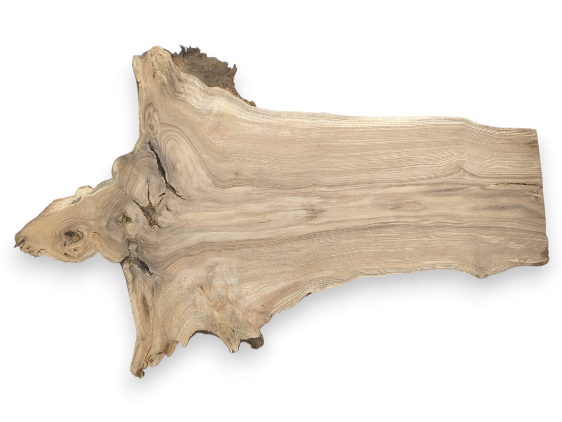 A raw timber cross-section features a gnarled burl flowing into a long, wavy-grained plank.