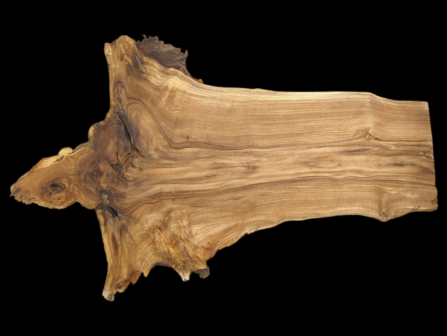 A polished cross-section of lumber shows grain swirling from a burl into parallel lines.