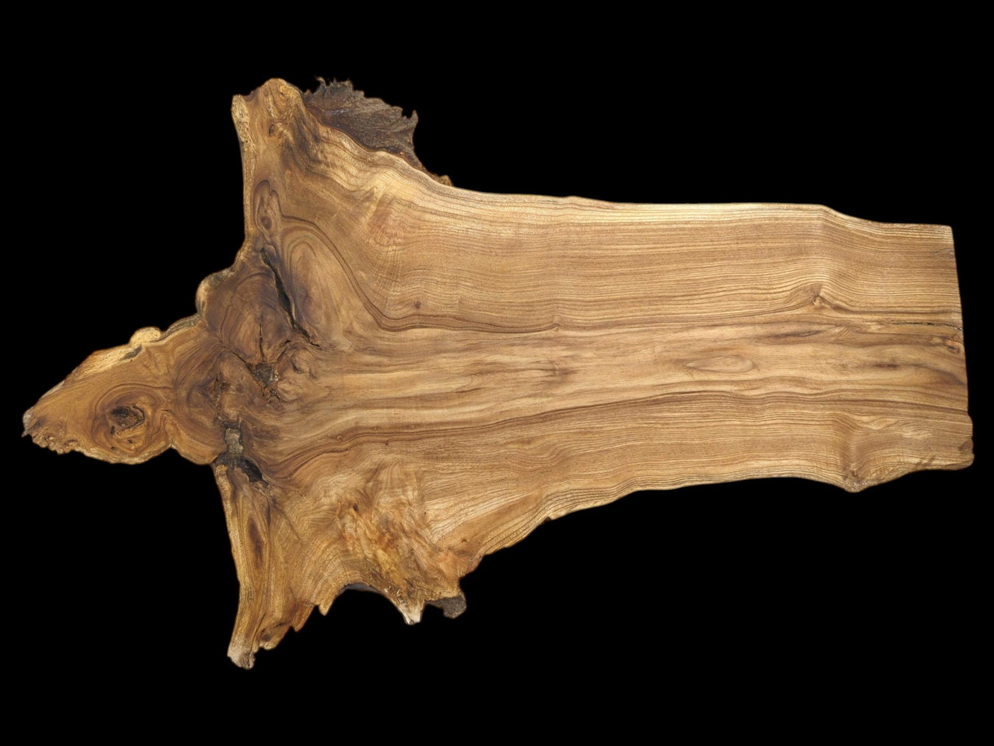 A polished cross-section of lumber shows grain swirling from a burl into parallel lines.