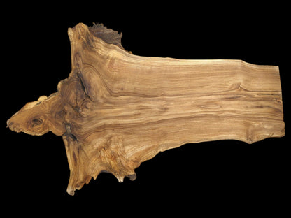 A polished cross-section of lumber shows grain swirling from a burl into parallel lines.